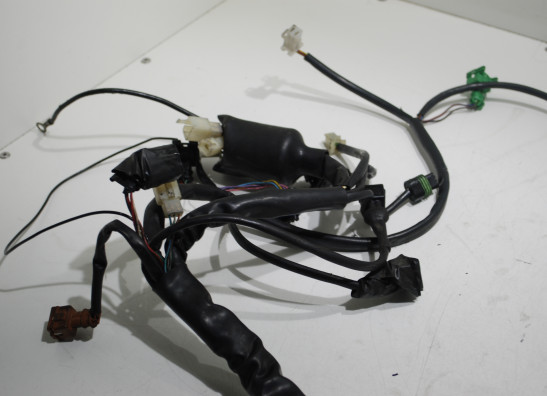 Wire Harness Aprilia Caponord 1000