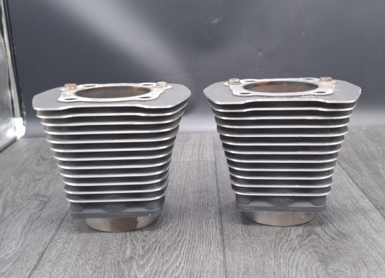 Cilinderblok Harley Davidson FXST Softail Standard