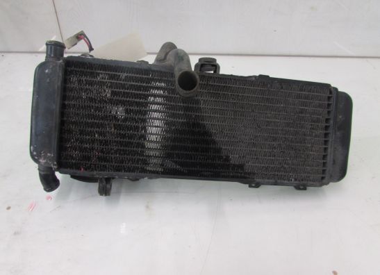 Radiateur Suzuki GSF 600 650 Bandit 
