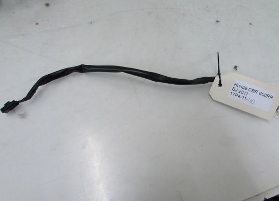 Sonstiges Honda CBR 600 RR