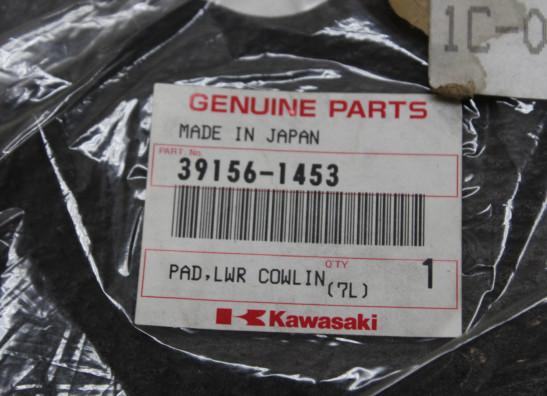 Kleber Kawasaki ZZR 1100