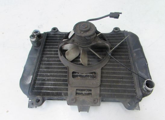 Radiateur Kawasaki KLE 500