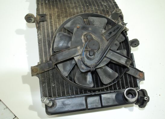 Radiator Suzuki GSX R 750