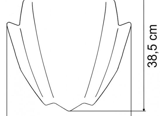 Windscreen BMW R 1150 R