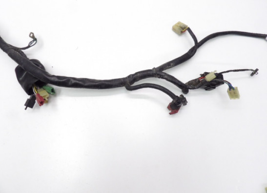 Wire Harness Honda CBR 1100 XX