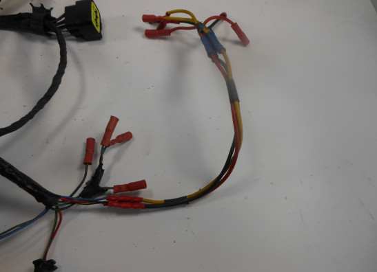 Wire Harness Kawasaki Z 1000