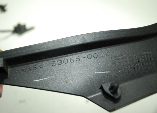 Seitenverkleidung links klein Kawasaki Ninja 300