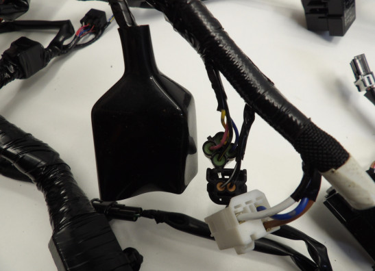 Wire Harness Kawasaki ZX 10 R