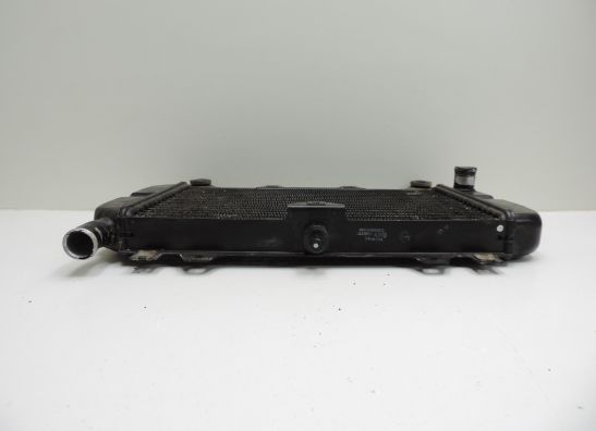 Radiator Kawasaki ZZR 600