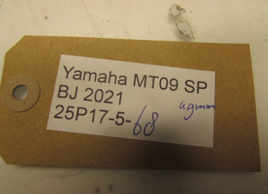 Achterremschijf Yamaha MT 09