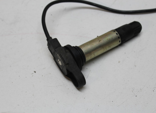 Bobine Ducati Monster S4RS