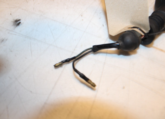 Knipperlicht Yamaha XJ 900 S Diversion