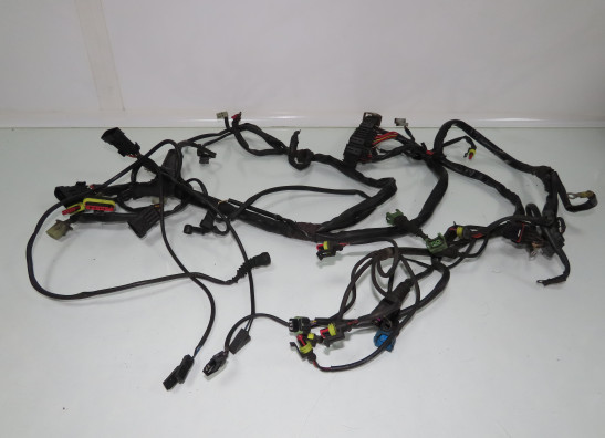 Kabelboom Moto Guzzi California EV