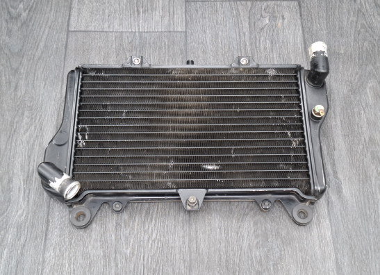 Radiator Kawasaki GPZ 900