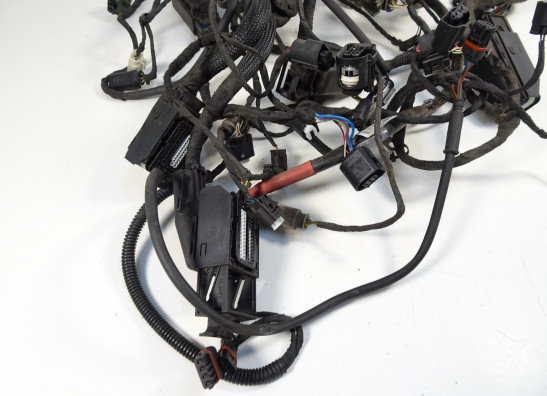 Kabelboom BMW K 1300 GT