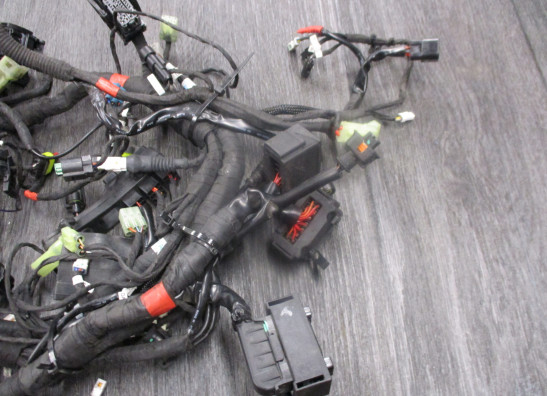 Kabelboom Ducati Monster 1200