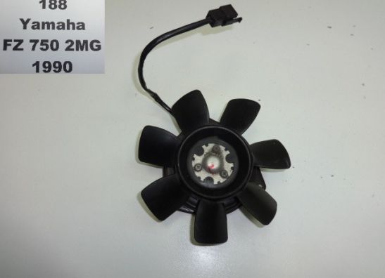 Fan Yamaha FZ 750