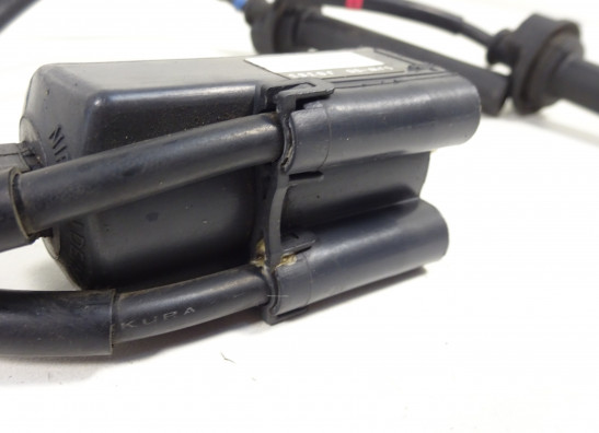 Bobine Yamaha FJR 1300