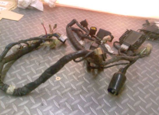 Wire Harness Kawasaki ZZR 1100
