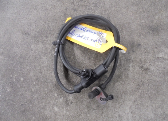 ABS sensor fuhler hinten Ducati Scrambler Cafe Racer