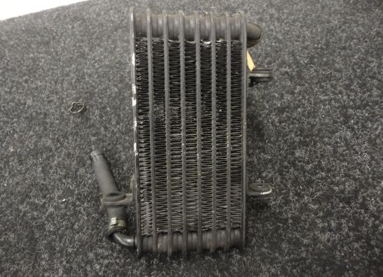 Olkuhler Aprilia RSV 1000