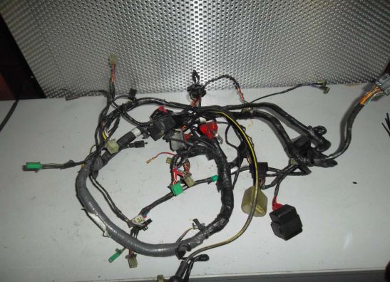 Wire Harness Kawasaki ZZR 600