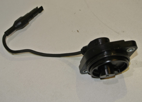 Sensor - overige elektronica BMW R 1200 R