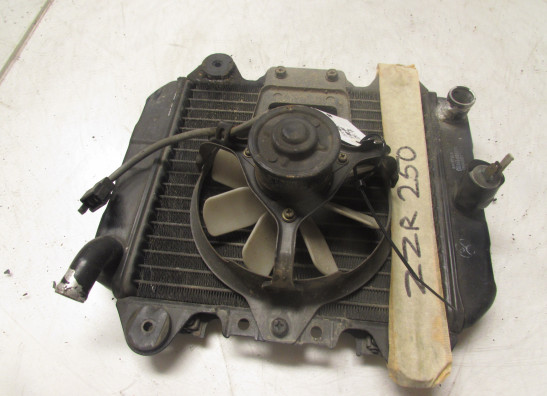 Radiateur Kawasaki ZZR 250
