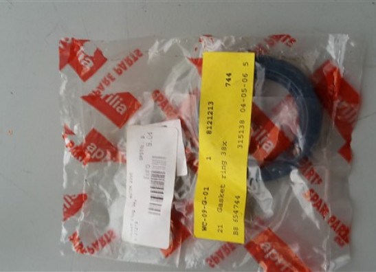 Other Aprilia RSV 1000