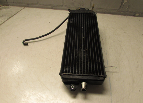 Kuhler Suzuki VX 800