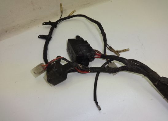 Kabelbaum Yamaha TDM