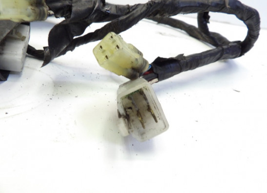 Kabelboom voor Yamaha FJ 1200