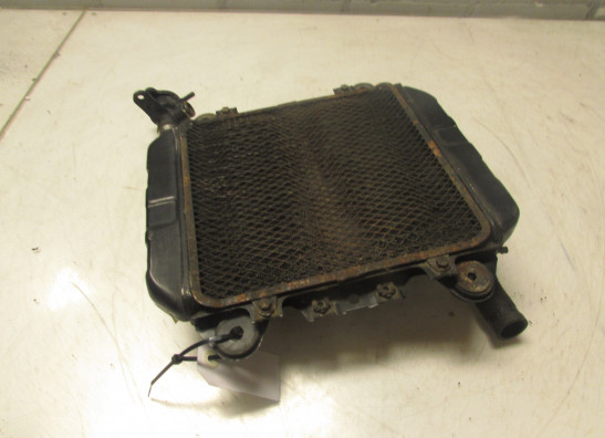 Radiator Kawasaki ZZR 250