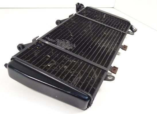 Kuhler Triumph Sprint ST 1050