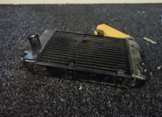 Radiator Aprilia Falco