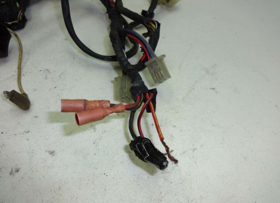 Kabelbaum Kawasaki ZZR 250