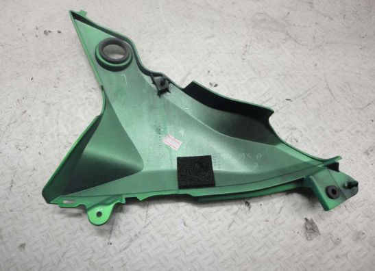 Linker zijkuip klein Kawasaki Z 800