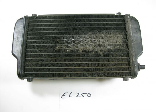 Kuhler Kawasaki EL 250