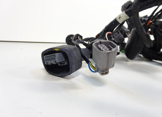 Wire Harness Kawasaki VERSYS 650