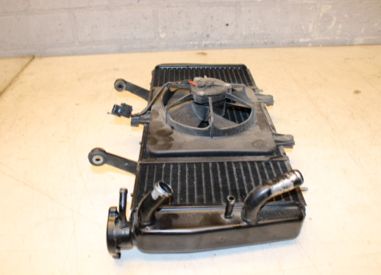 License plate holder Triumph Sprint RS