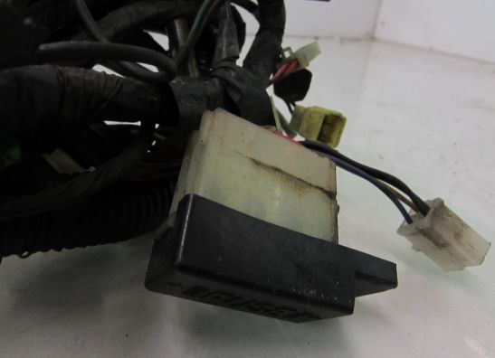 Kabelboom Yamaha FZ 750