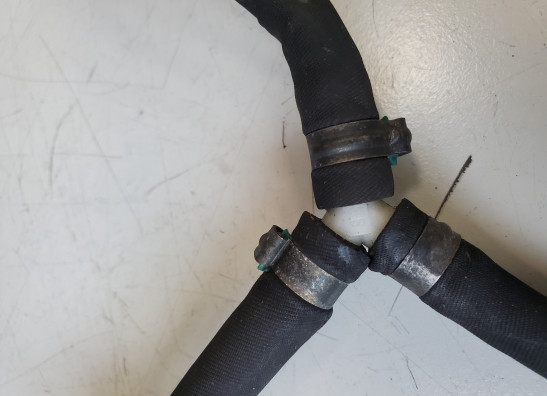 Sonstiges Aprilia Tuono 1000