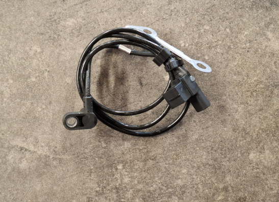 ABS sensor rear BMW R 1250 GS