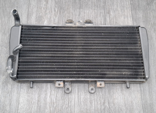 Radiateur Triumph 595 T Daytona 1997-1999