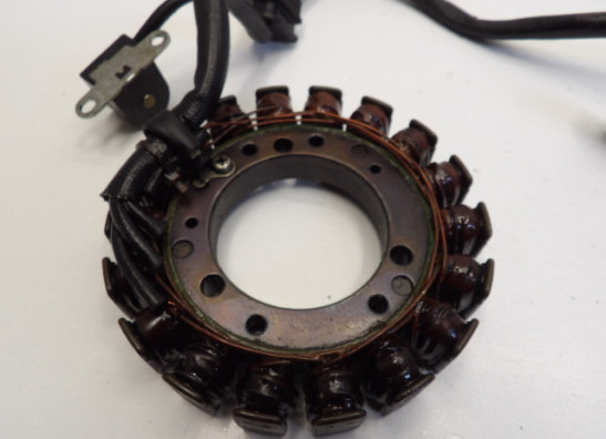 Dynamo Suzuki LS 650