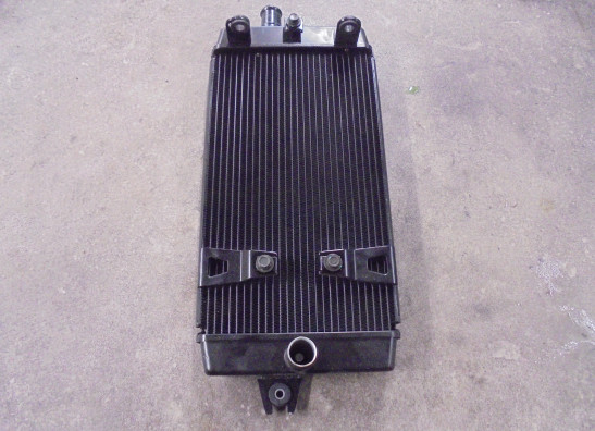 Kuhler Triumph Bonneville T 120