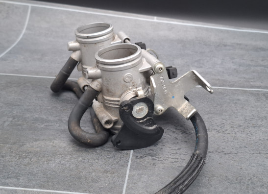 Gasklephuis BMW F 800 GS