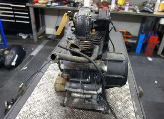 Motorblok Ducati monster 600