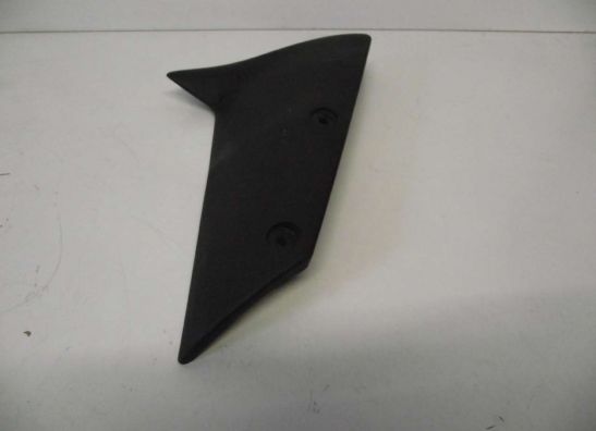 Voorspatbord Kawasaki ZX 10 R