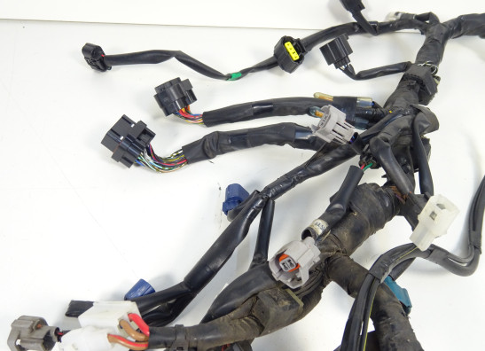 Wire Harness Yamaha MT 09